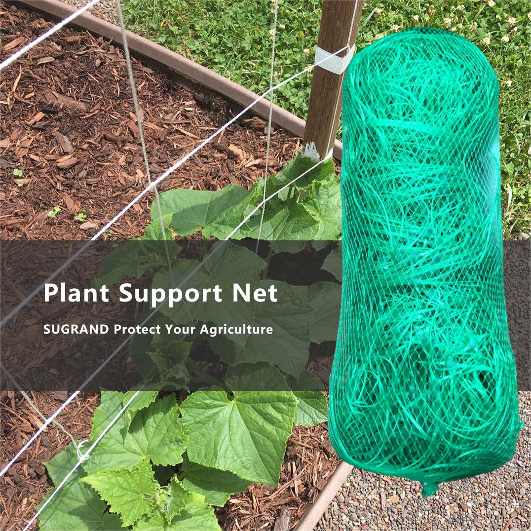 Greenhouse Agriculture Plastic Trellis Netting Plants Vegetables Bean Net Buy Vegetables Bean 5327