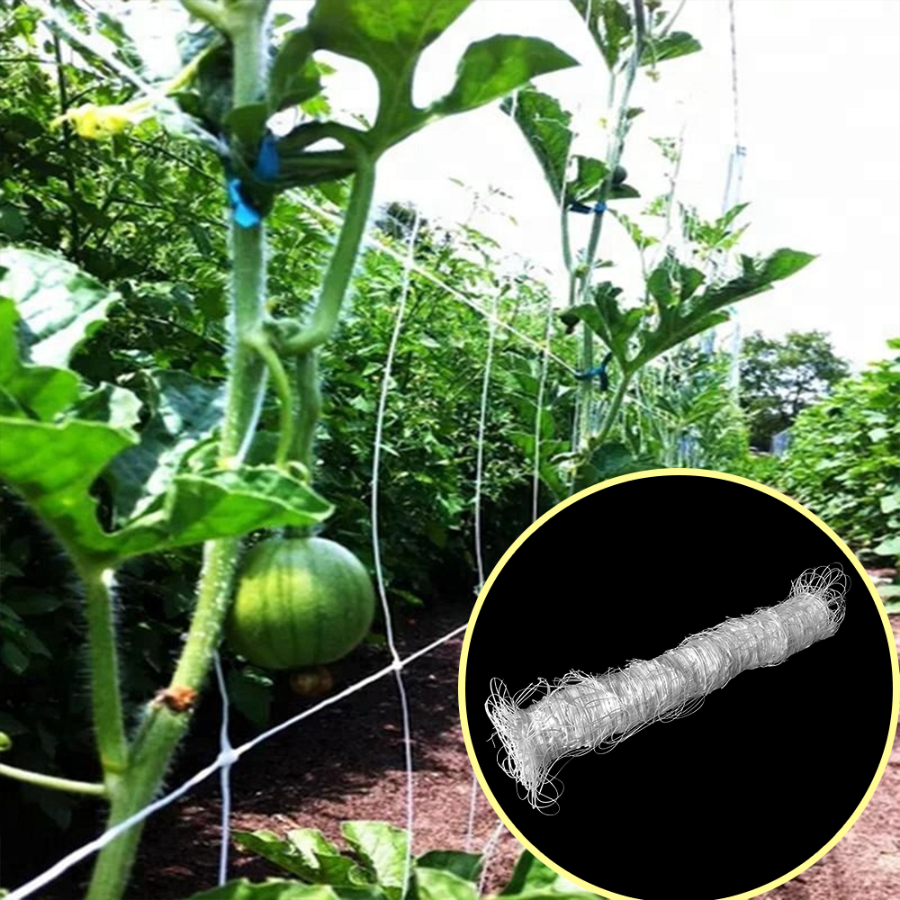 Greenhouse Agriculture Plastic Trellis Netting Plants Vegetables Bean Net